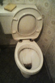Dietmar Gamper_LanaLive
